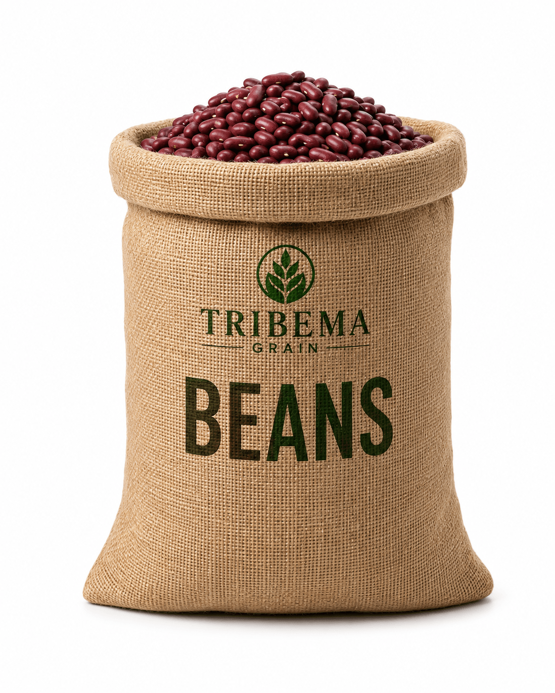 Bag of Beans