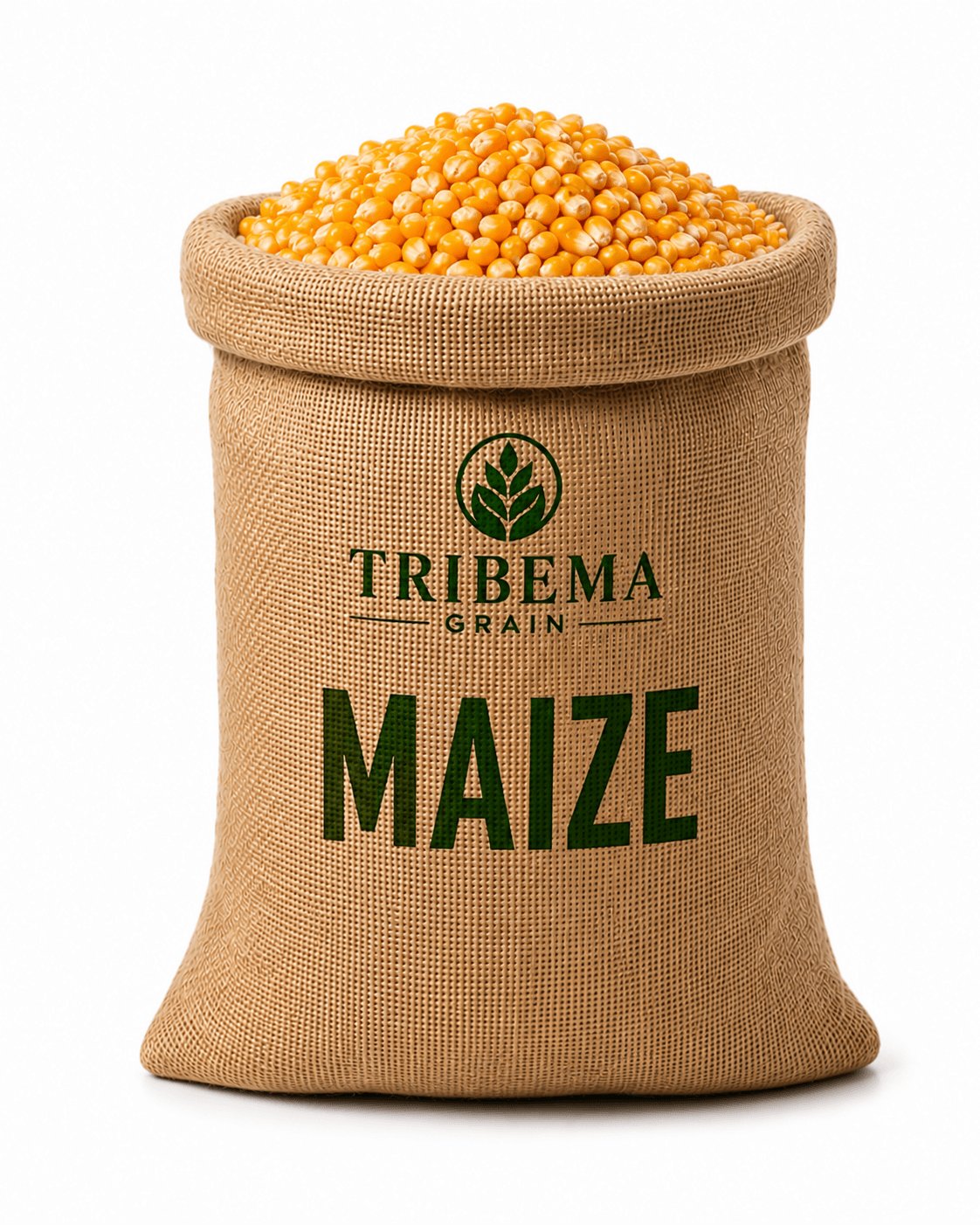 Bag of Maize