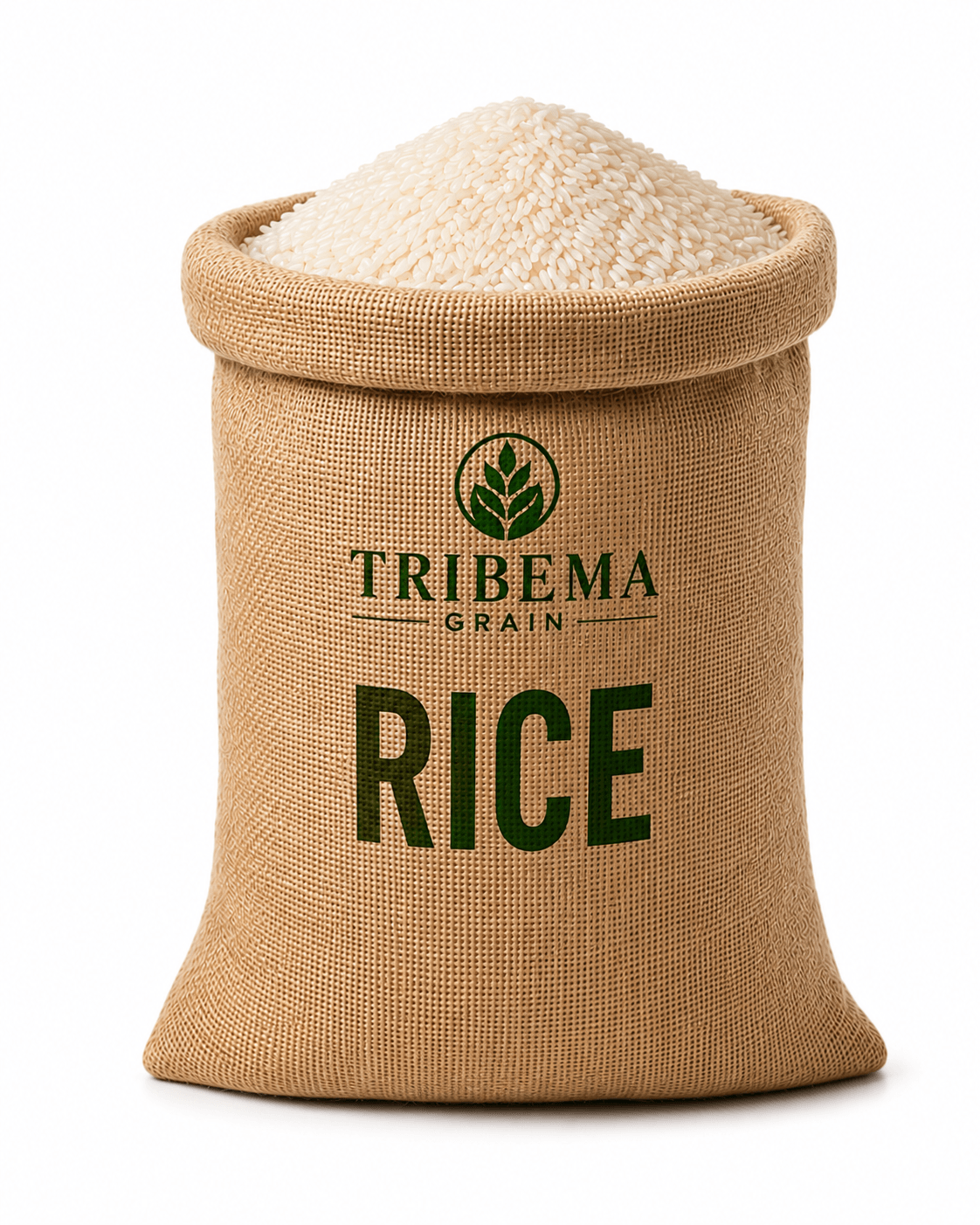 Bag of Rice