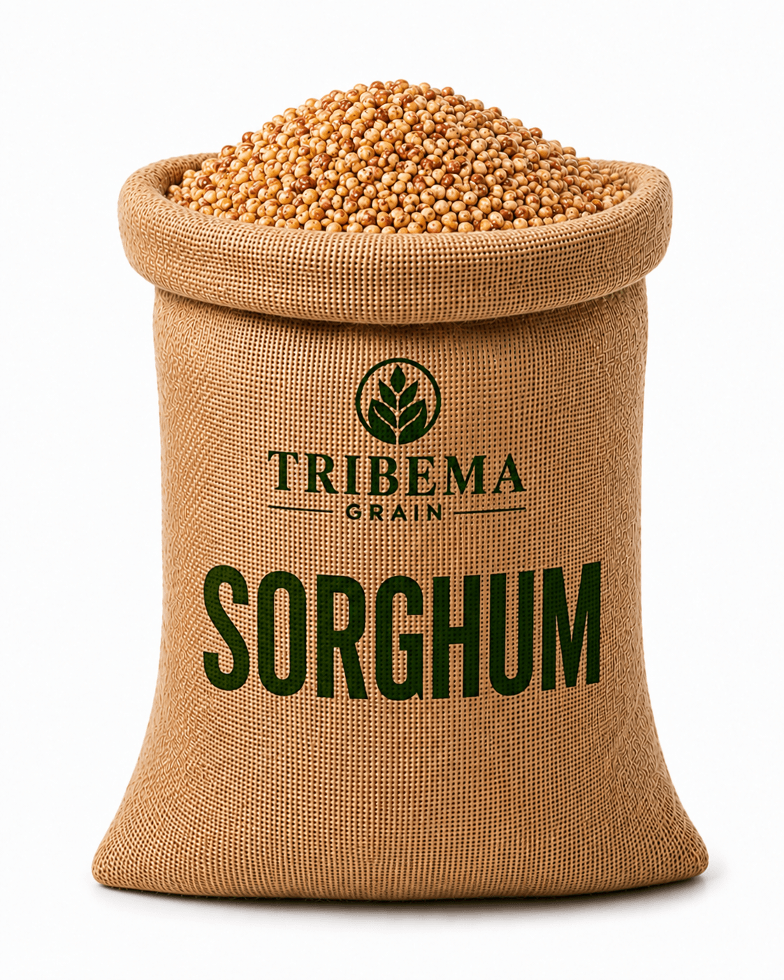 Bag of Sorghum