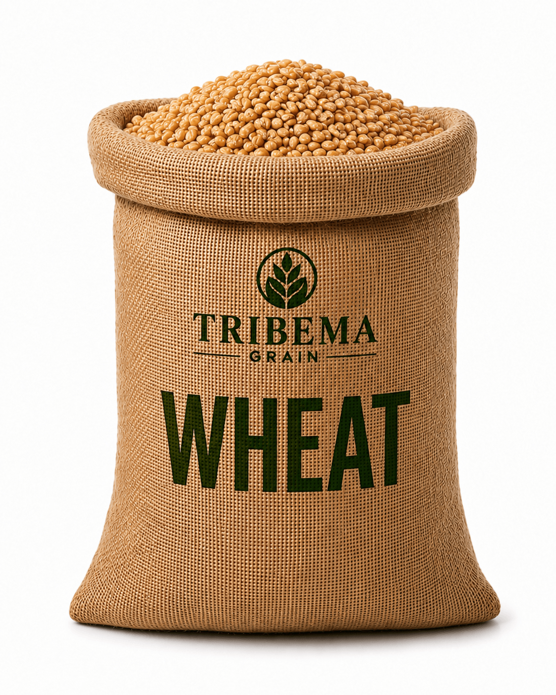 Bag of Wheat